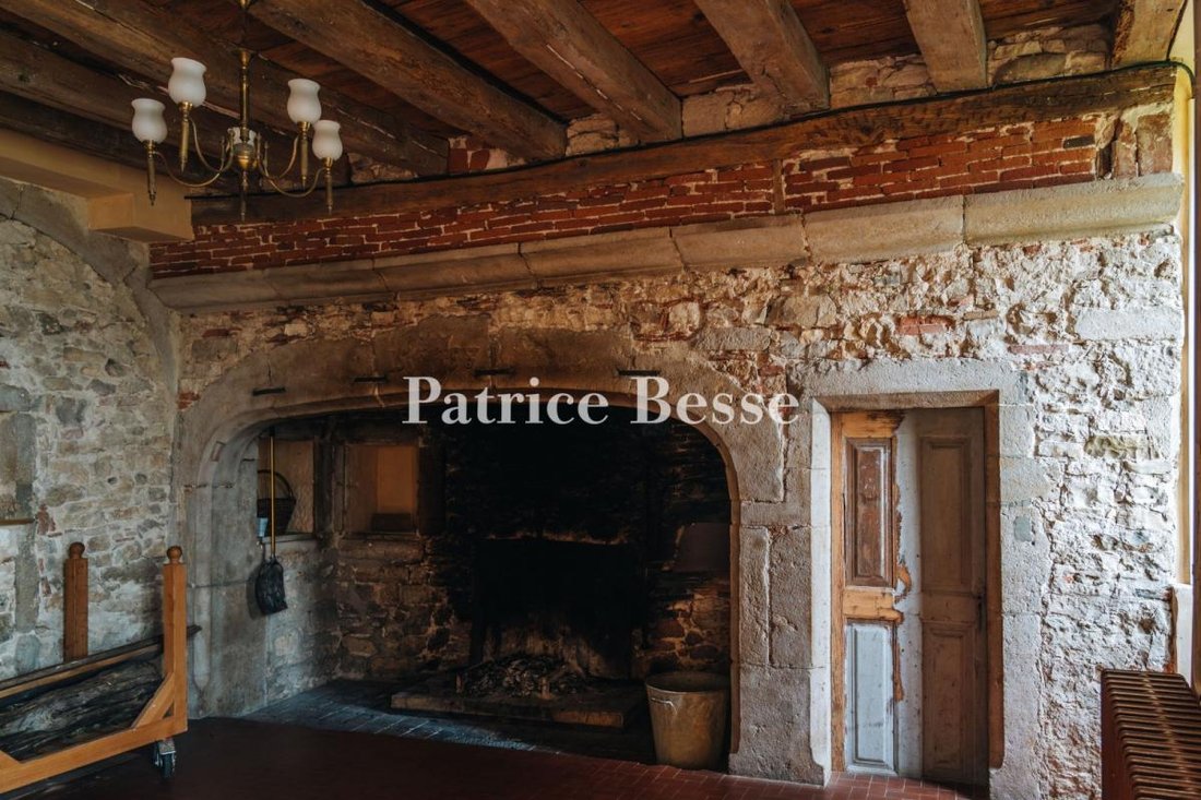Whispers of the Renaissance: A 16th-Century Castle Hidden in Burgundy’s Golden Light