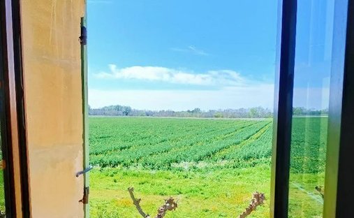 Sale Of Equestrian Estate Aimargues, 260m² 6 Rooms 1,050,000€ With Swimming Pool