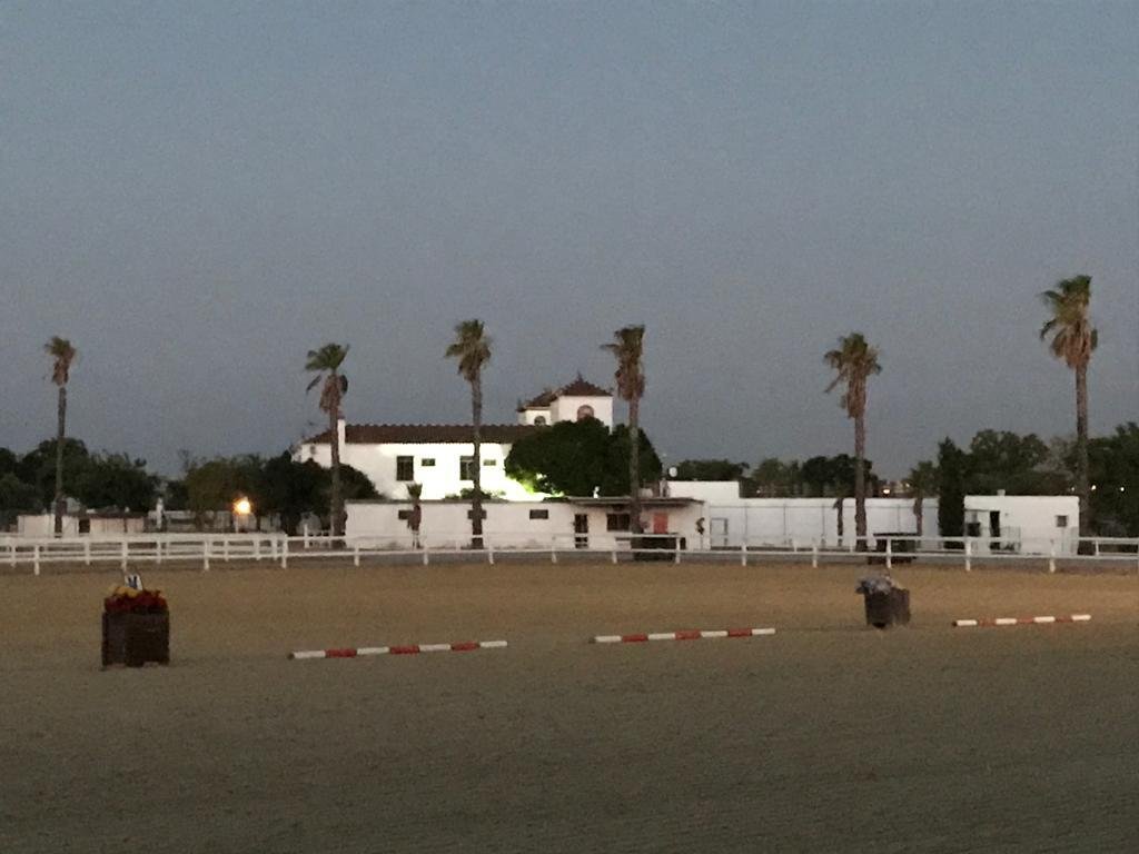 Finca in Carmona, Andalusia, Spain 3 - 15943890