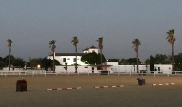 Finca a Carmona, Andalusia, Spagna 2