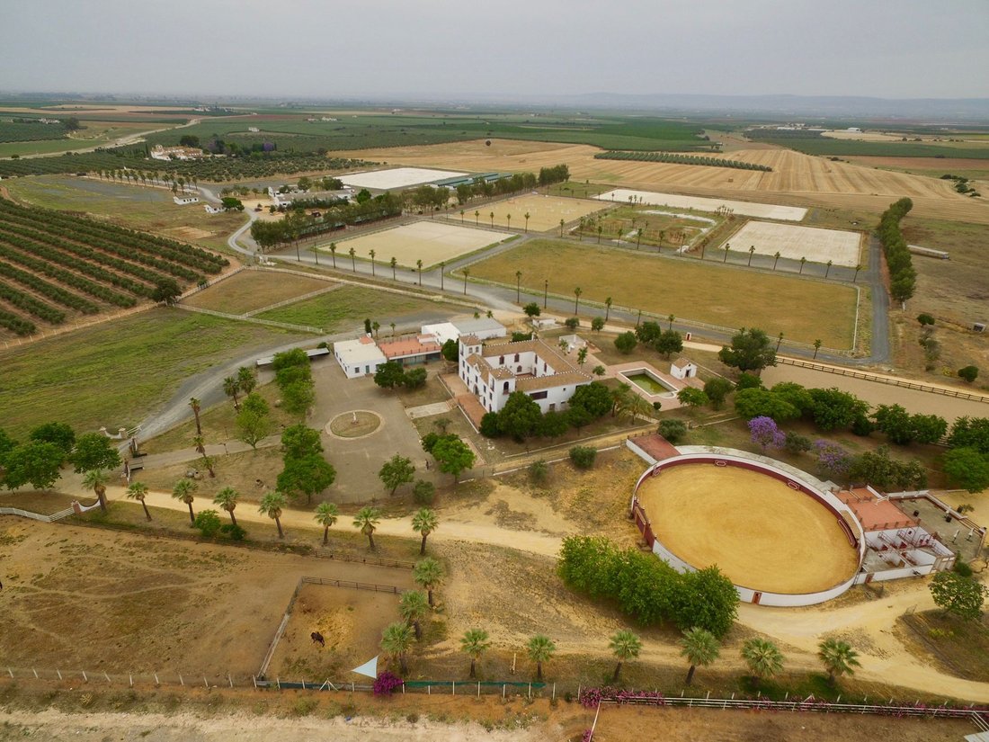 Finca in Carmona, Andalusia, Spain 1 - 15943890