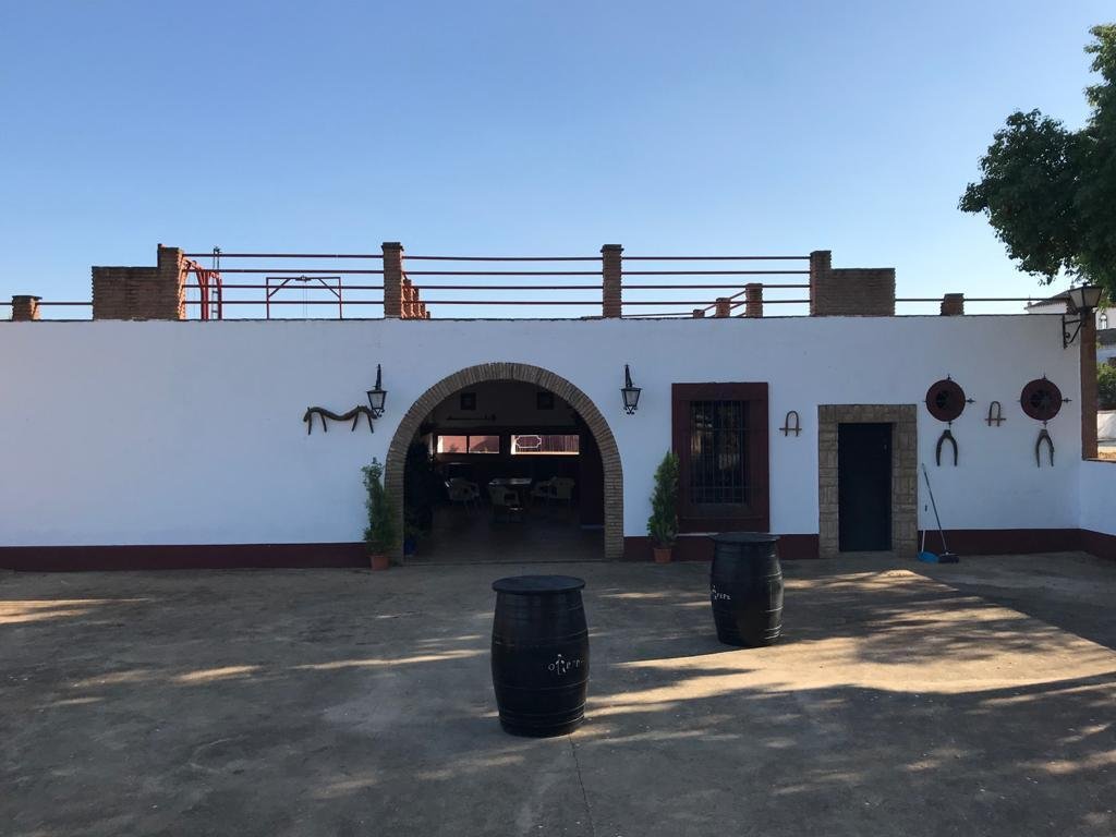 Finca in Carmona, Andalusia, Spain 5 - 15943890