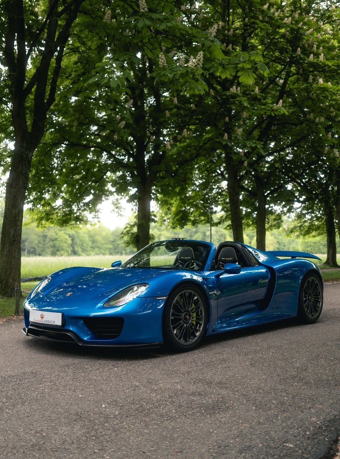 2014 Porsche 918 spyder  unknown in Munich, Germany 3 - 15944196