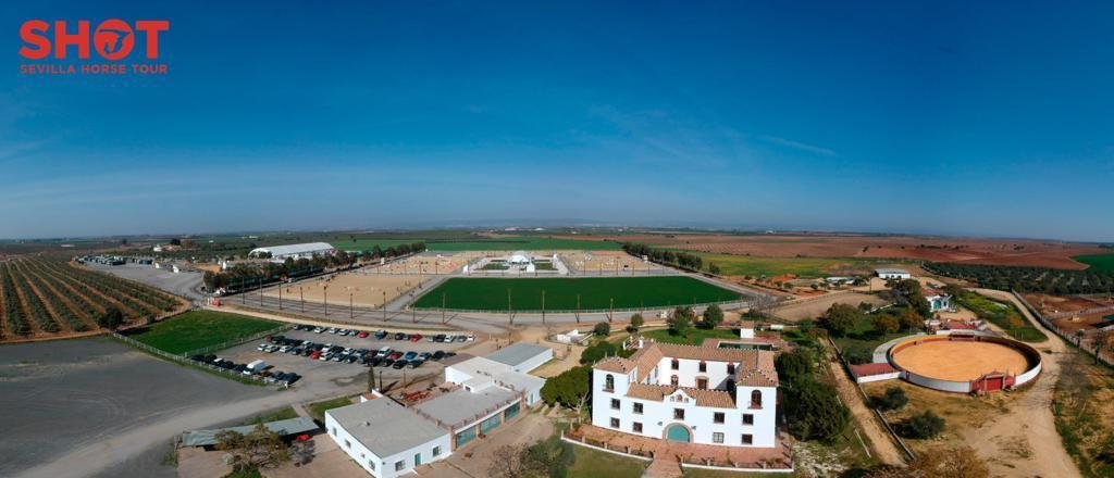 Finca in Carmona, Andalusia, Spain 2 - 15943890