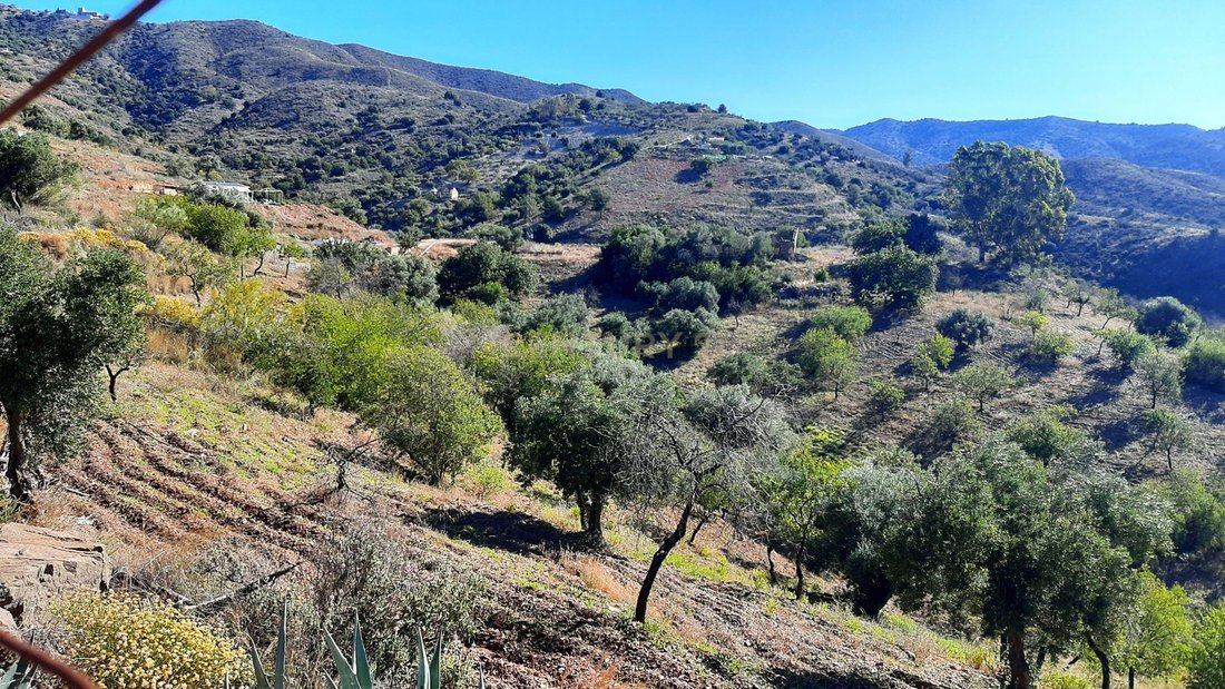 Land in Este, Malaga, Spain 5 - 15949881
