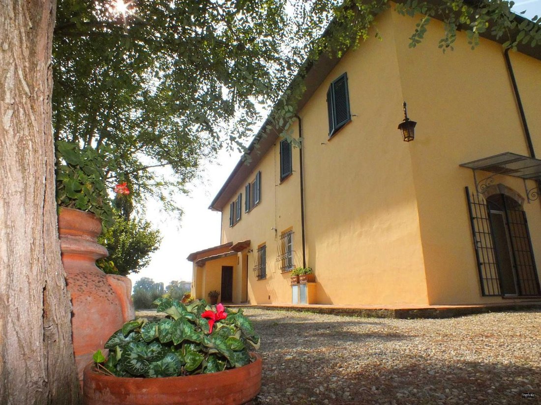 Villa in Fauglia, Tuscany, Italy 4 - 15948214