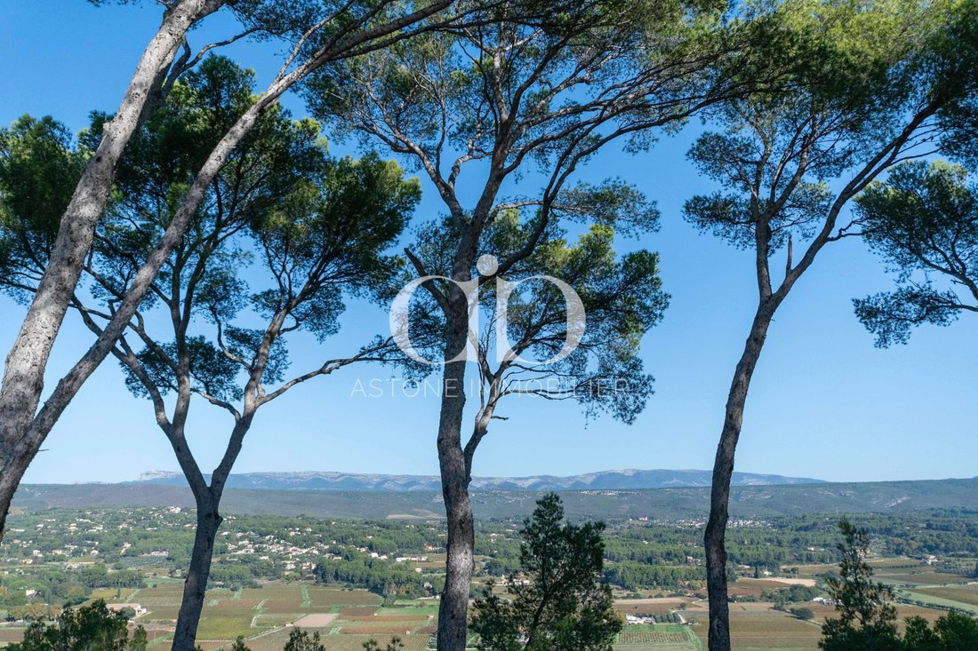 Château des Vignes: A Provençal Dream Between Sky and Vine