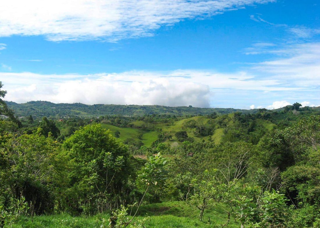 Land in Agua Buena, Coto Brus, Costa Rica 2 - 15952292