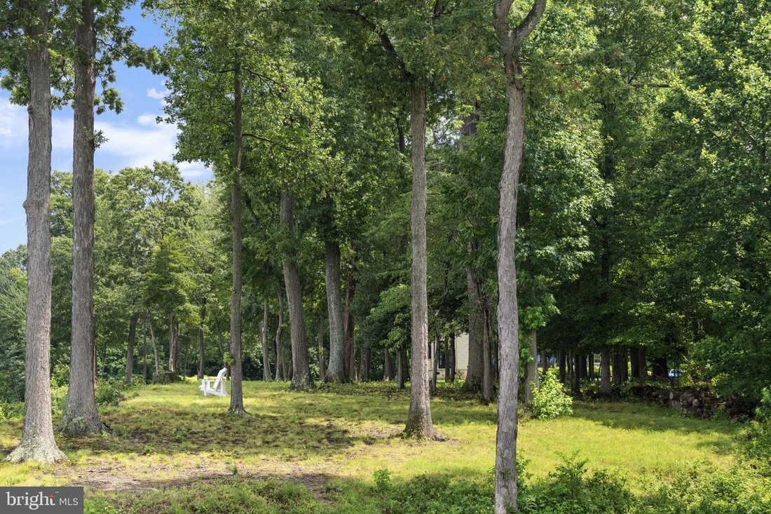 Amazing Waterfront Opportunity - 1100xxs