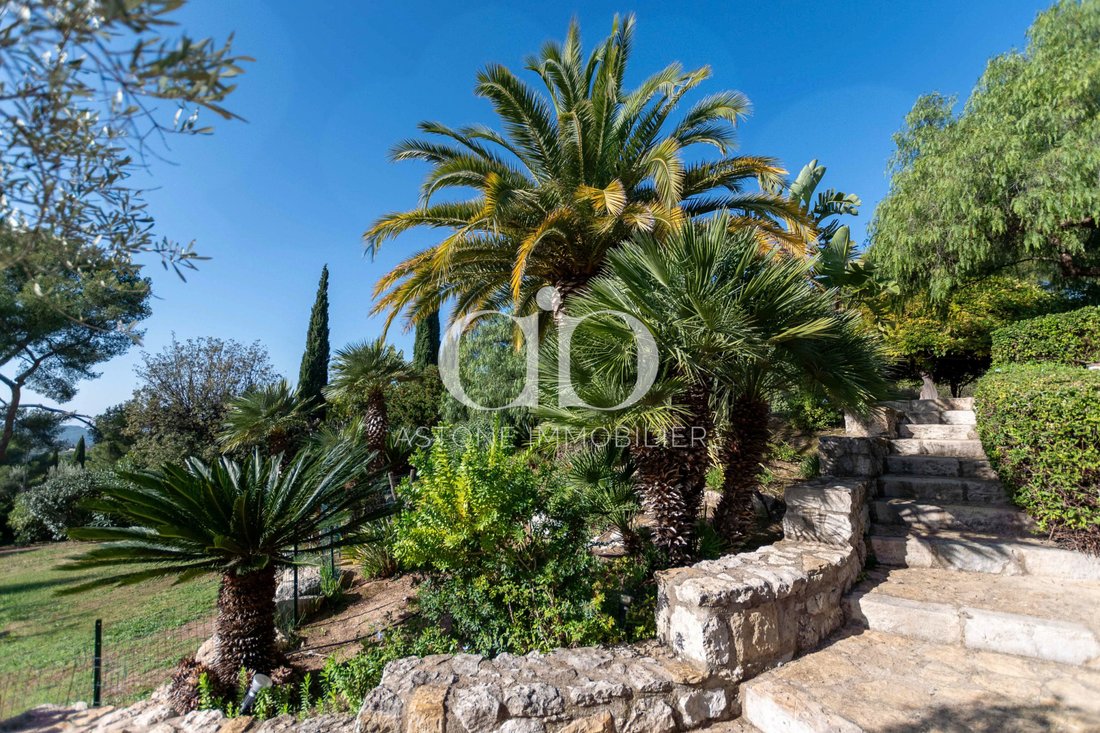 Château des Vignes: A Provençal Dream Between Sky and Vine