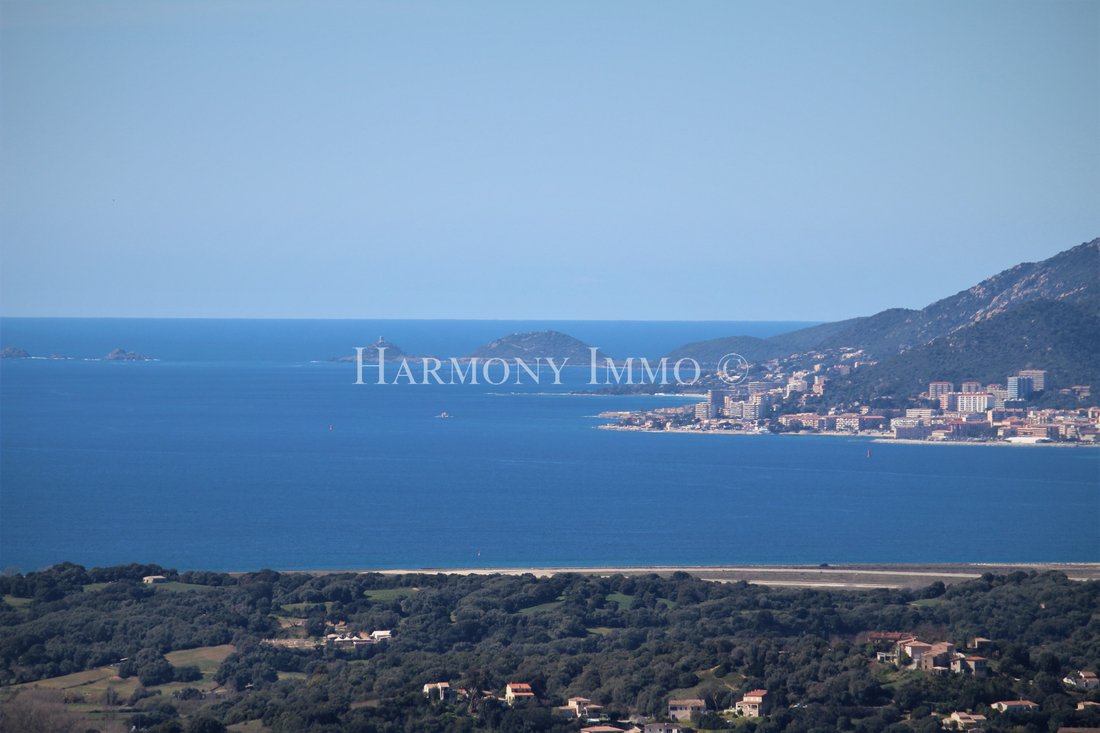Eccica-Suarella, Corsica, France 1 - 15948290
