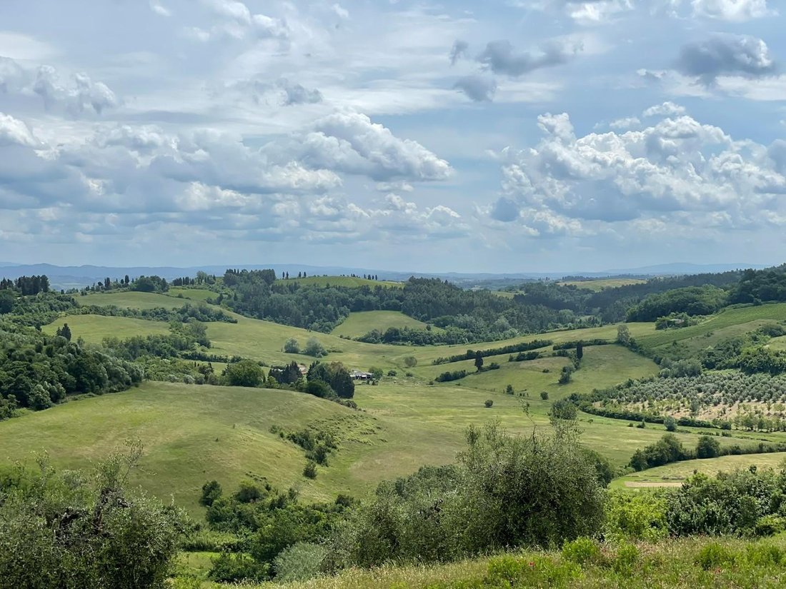 Farm Ranch in San Miniato, Tuscany, Italy 3 - 15947914