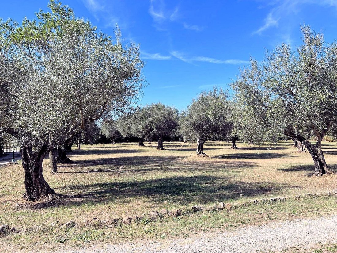 Villa in Pitigliano, Tuscany, Italy 4 - 12745516
