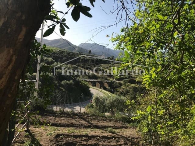 Finca in Alora, Andalusia, Spain 3 - 15952063
