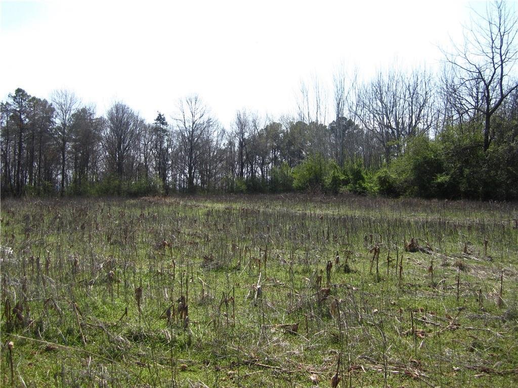 Land in Gainesville, Georgia, United States 5 - 15948873