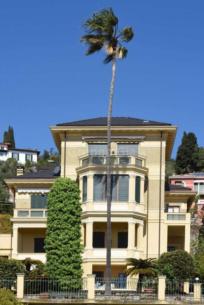 Apartment in Central Hill, Alassio, Liguria 1 - 15937743