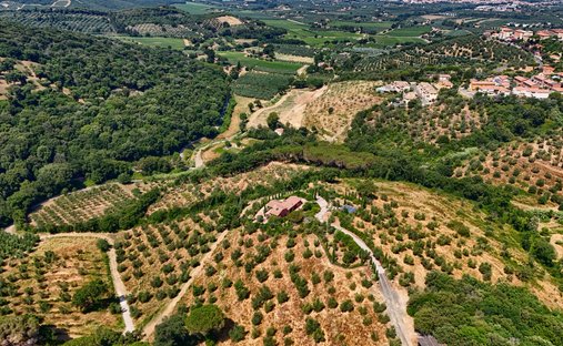 Casa di campagna a Castagneto Carducci, Toscana, Italia 1
