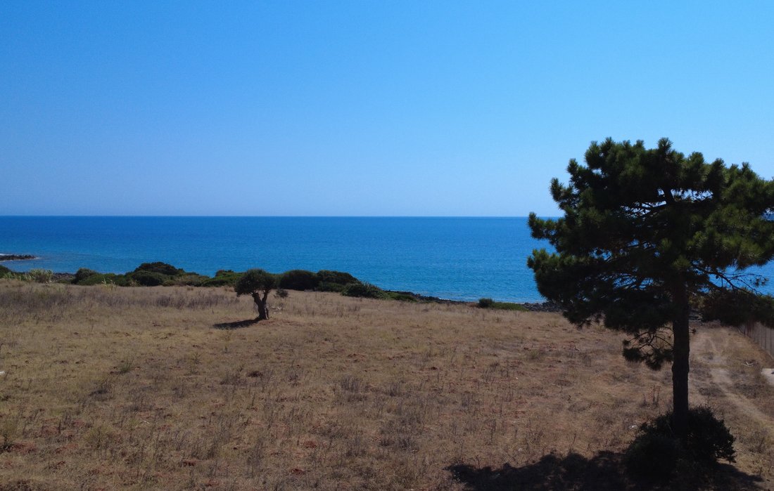 Land in Gargalianoi, Peloponnese, Western Greece and the Ionian, Greece 5 - 15954145