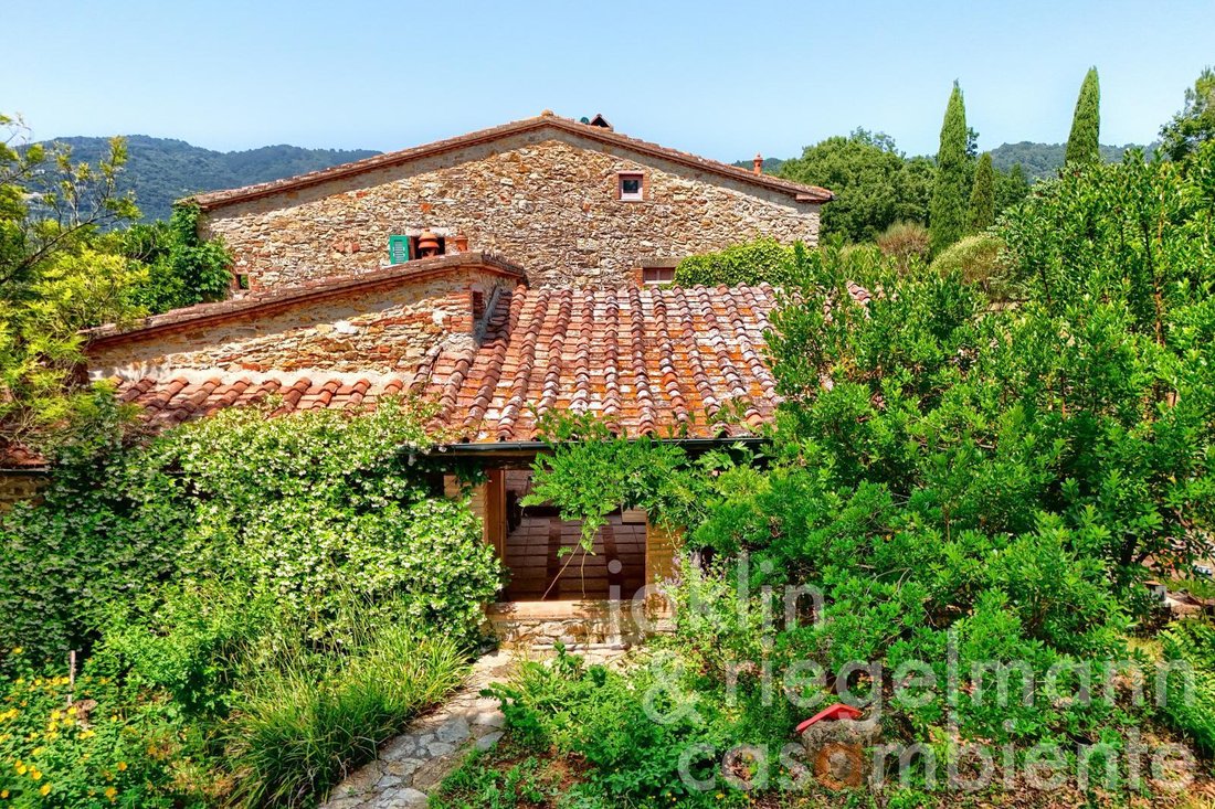 House in Sassetta, Tuscany, Italy 3 - 15954108
