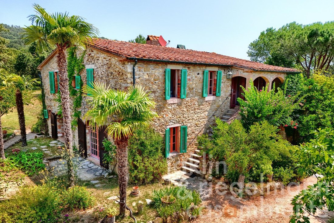 House in Sassetta, Tuscany, Italy 2 - 15954108