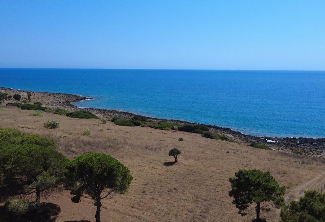 Land in Gargalianoi, Peloponnese, Western Greece and the Ionian, Greece 2 - 15954145
