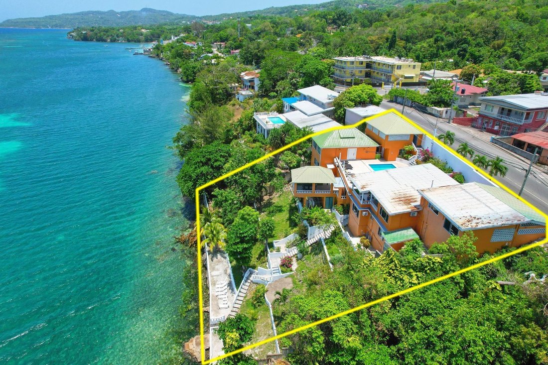 Villa in Salt Gut, St. Mary Parish, Jamaica 2 - 15954527