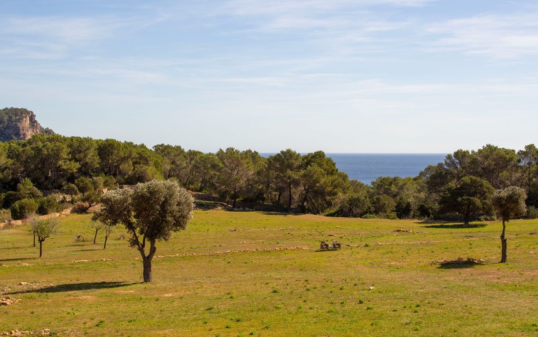 Villa in Cala Mastella, Santa Eularia des Riu, Balearic Islands 3 - 15956488