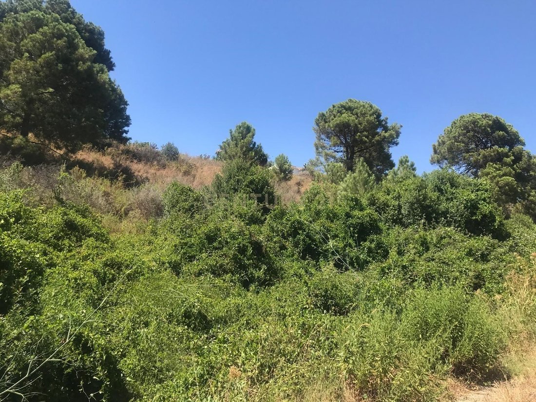 Land in Estepona, Andalusia, Spain 5 - 15956789