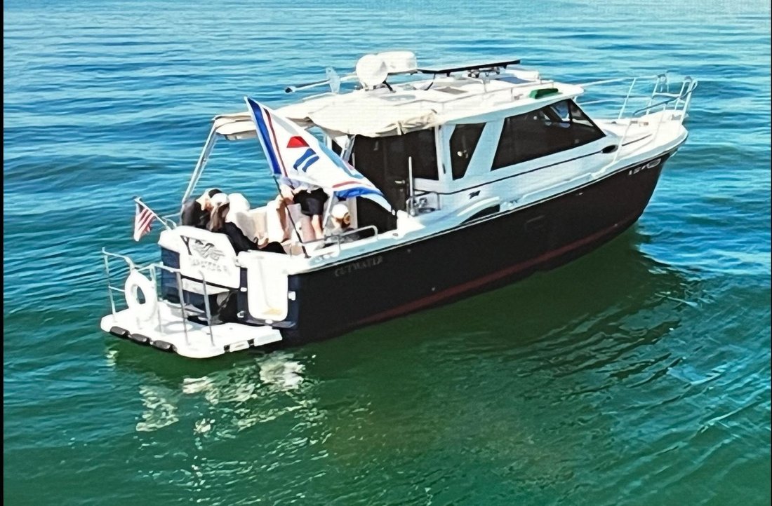 United States 1 - 15955049