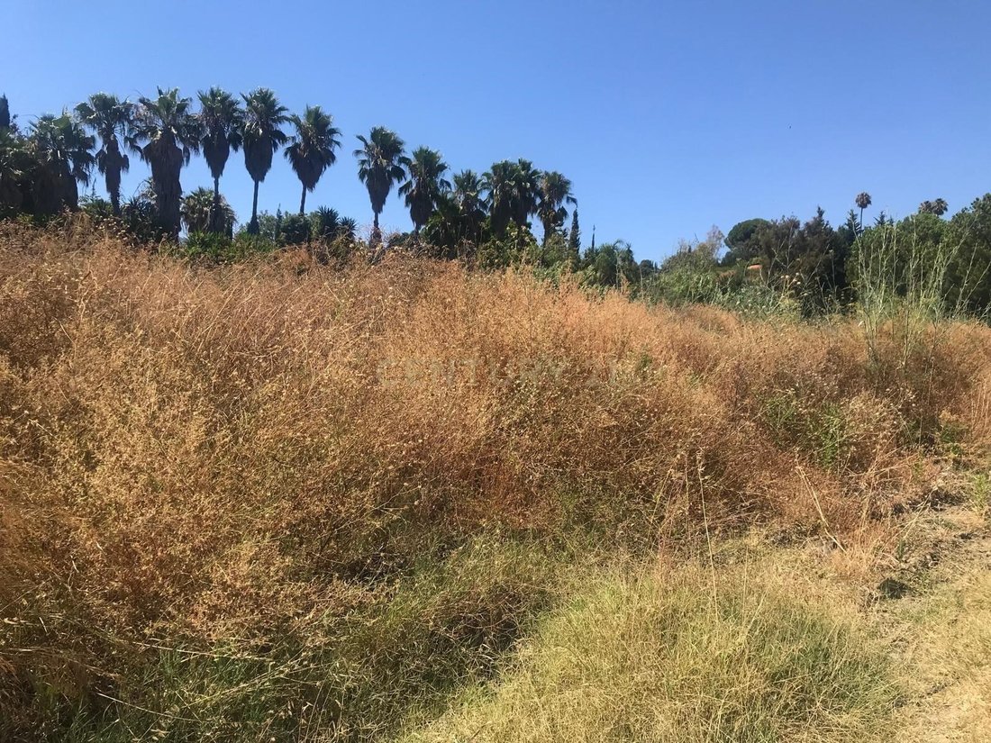 Land in Estepona, Andalusia, Spain 4 - 15956789