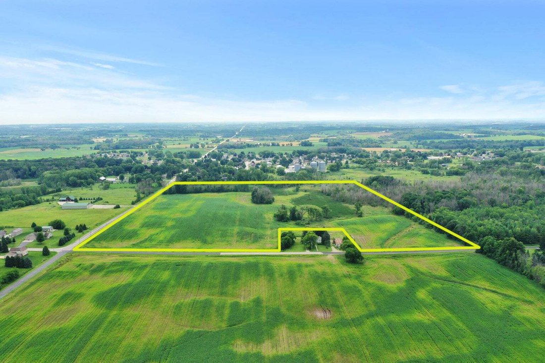 Land in Whitelaw, Wisconsin, United States 3 - 15955819