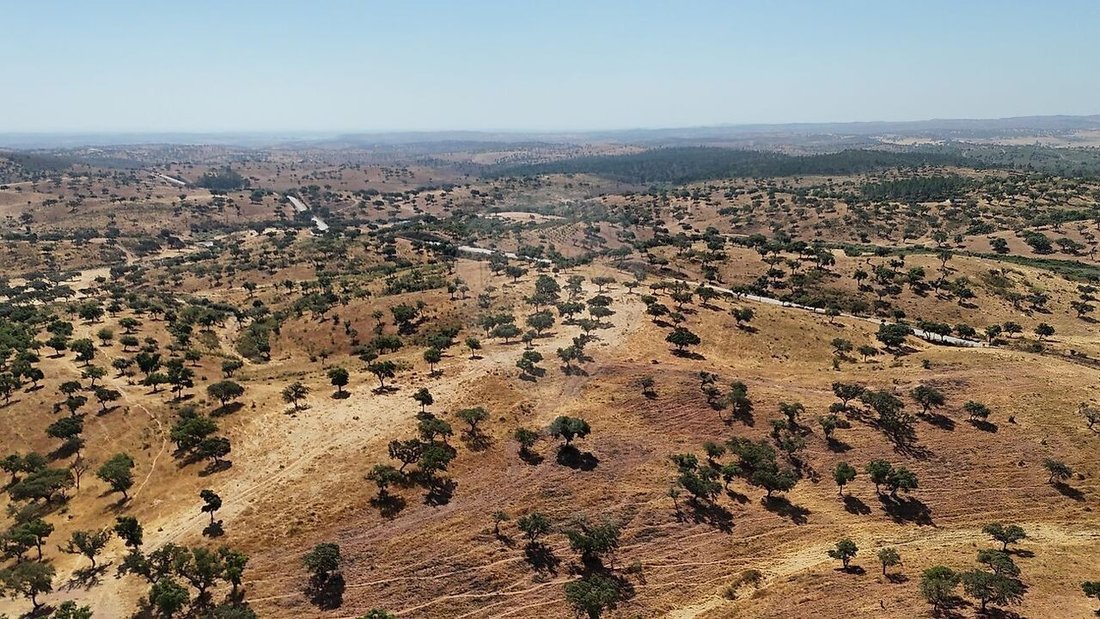 Farm Ranch in Portel, Évora District, Portugal 3 - 15957925