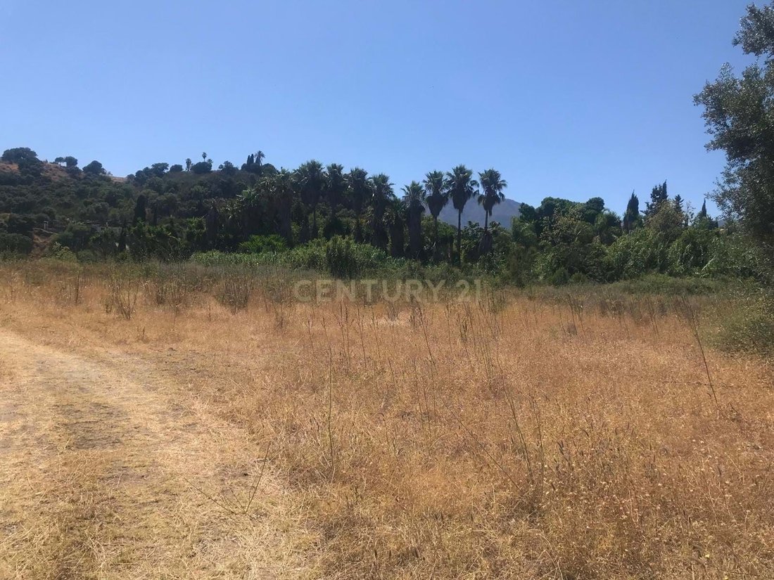 Land in Estepona, Andalusia, Spain 1 - 15956789