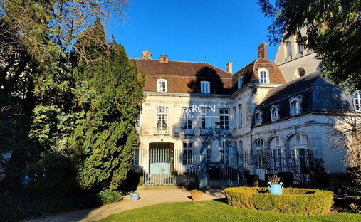 Castle for Sale in Auxerre, Bourgogne-Franche-Comté, France
