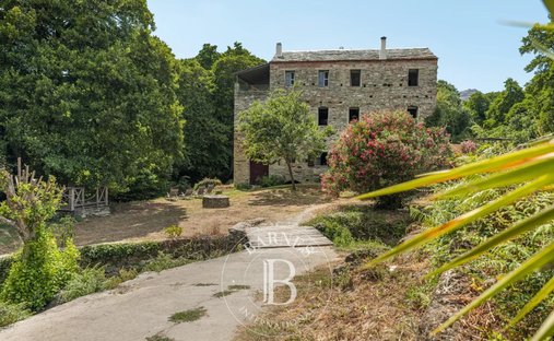 House in Saint-Florent, Corsica, France 1