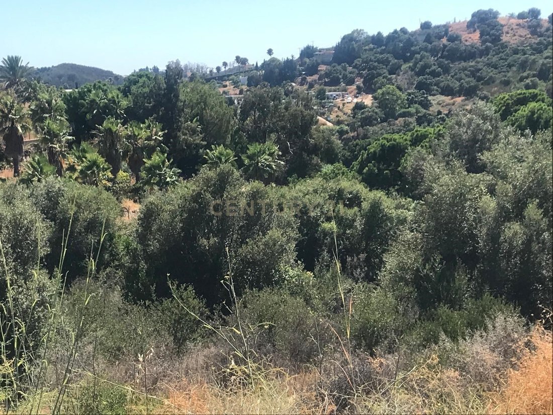 Terrain A Vendre Espagne