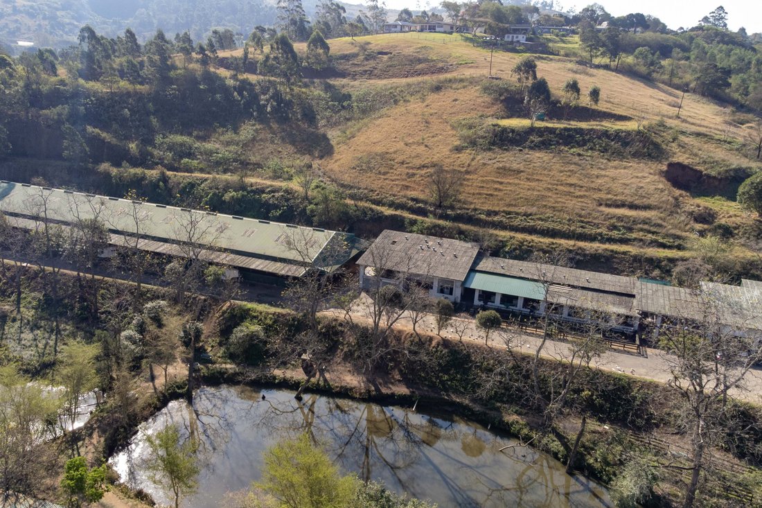 Farm Ranch in Outer West Durban, KwaZulu-Natal, South Africa 5 - 15955252
