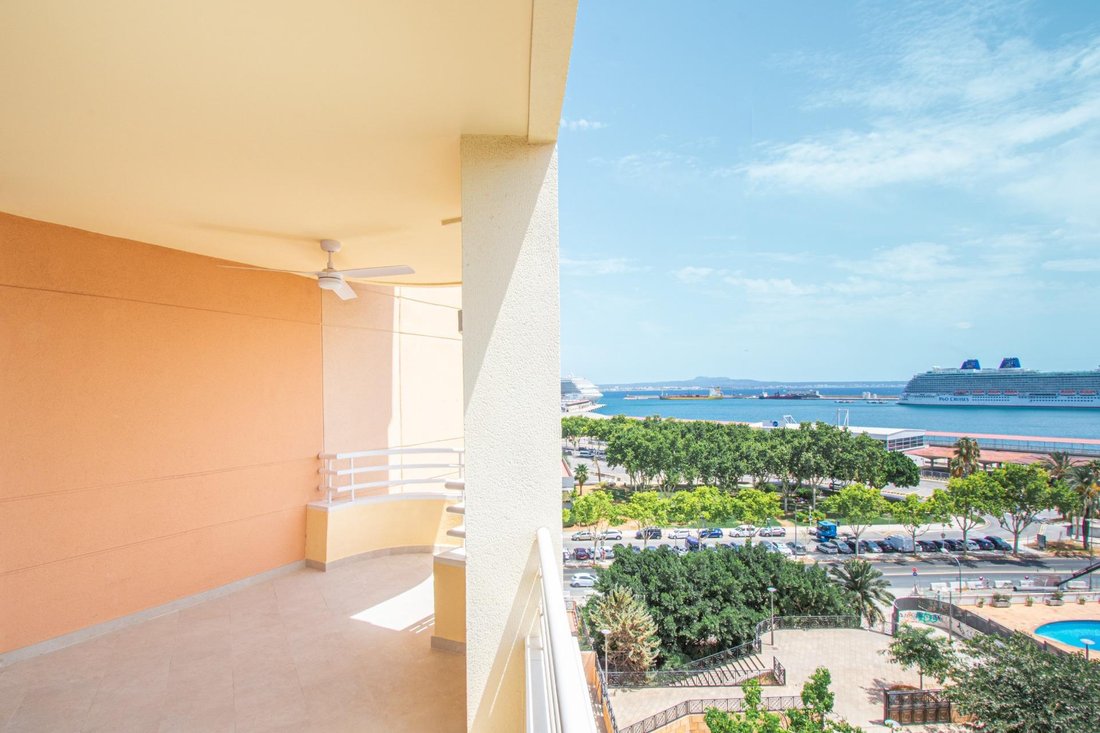 Apartment in Palma, Balearic Islands, Spain 3 - 15956315