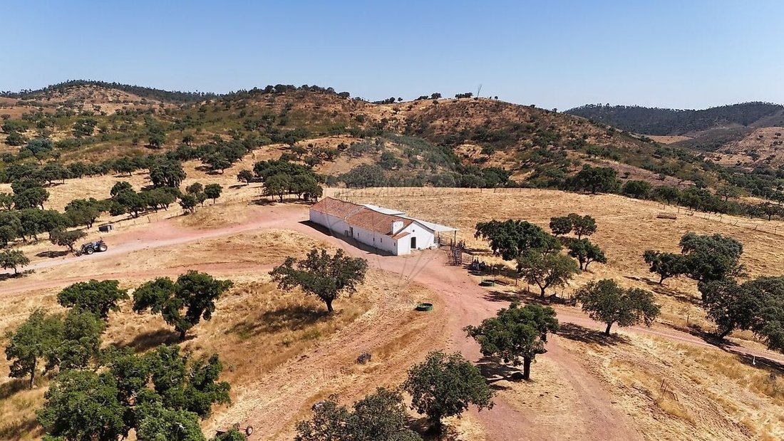 Farm Ranch in Portel, Évora District, Portugal 1 - 15957925