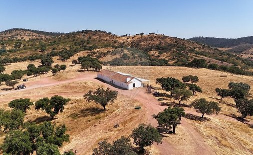 Farm Ranch in Portel, Évora District, Portugal 1