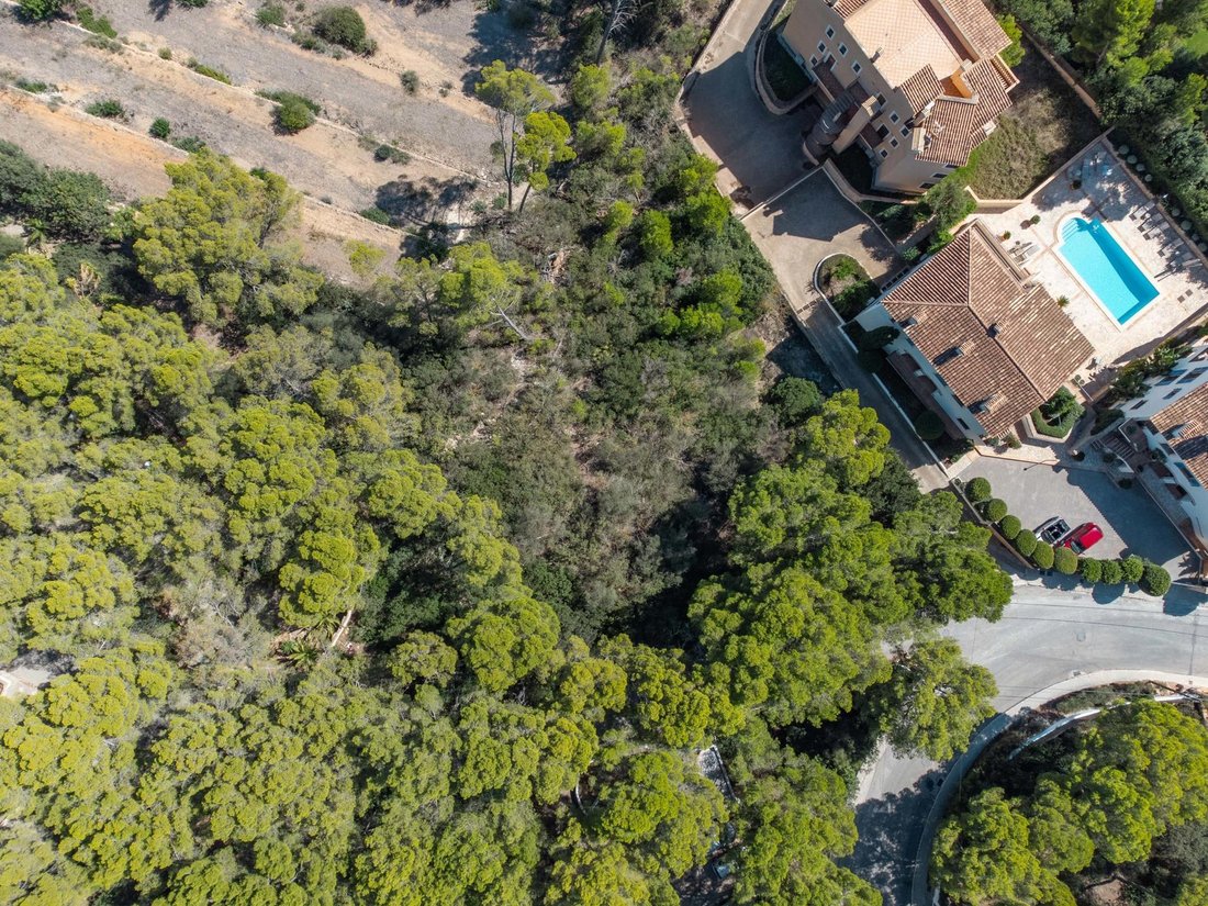 Land in Port d'Andratx, Andratx, Balearic Islands 2 - 15958559