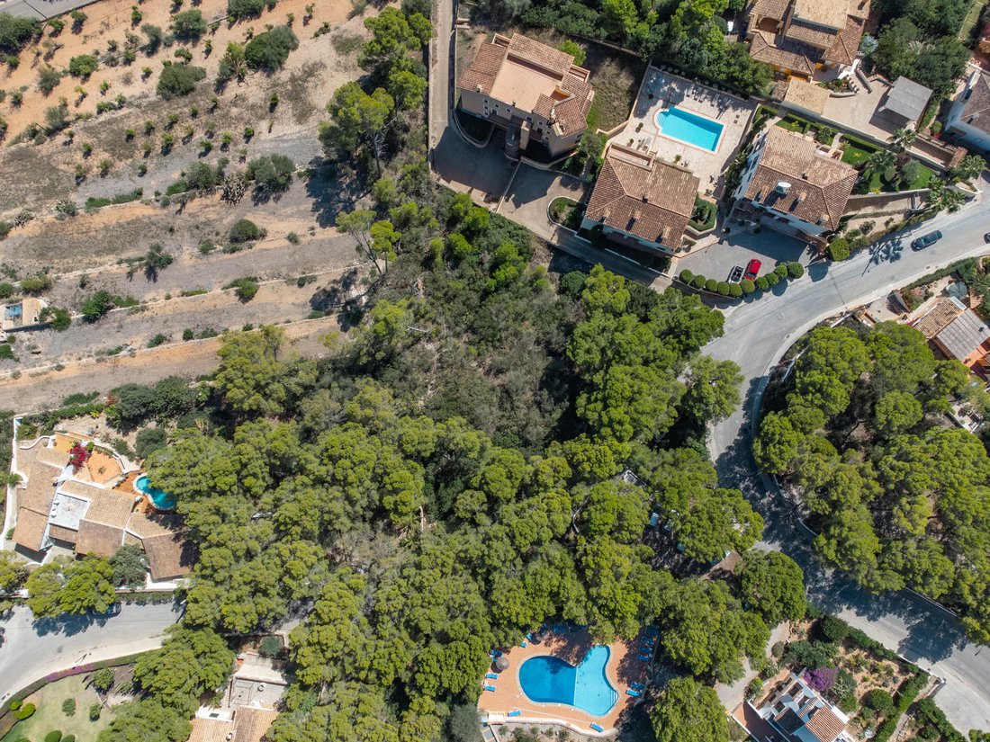 Land in Port d'Andratx, Andratx, Balearic Islands 3 - 15958559