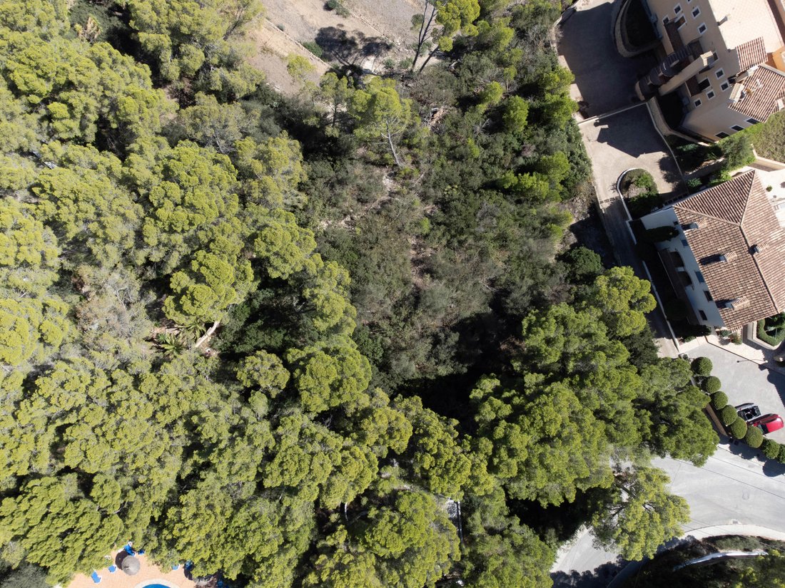 Land in Port d'Andratx, Andratx, Balearic Islands 1 - 15958559