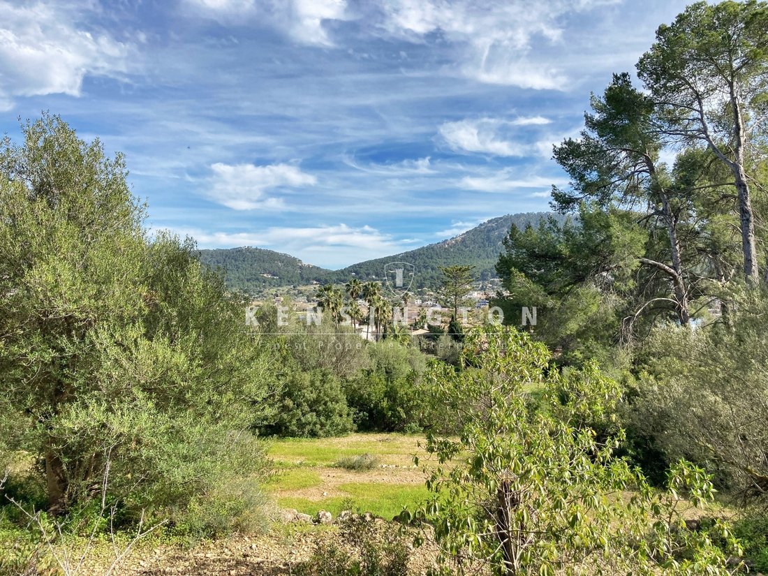 Land in Port d'Andratx, Andratx, Balearic Islands 5 - 15958559
