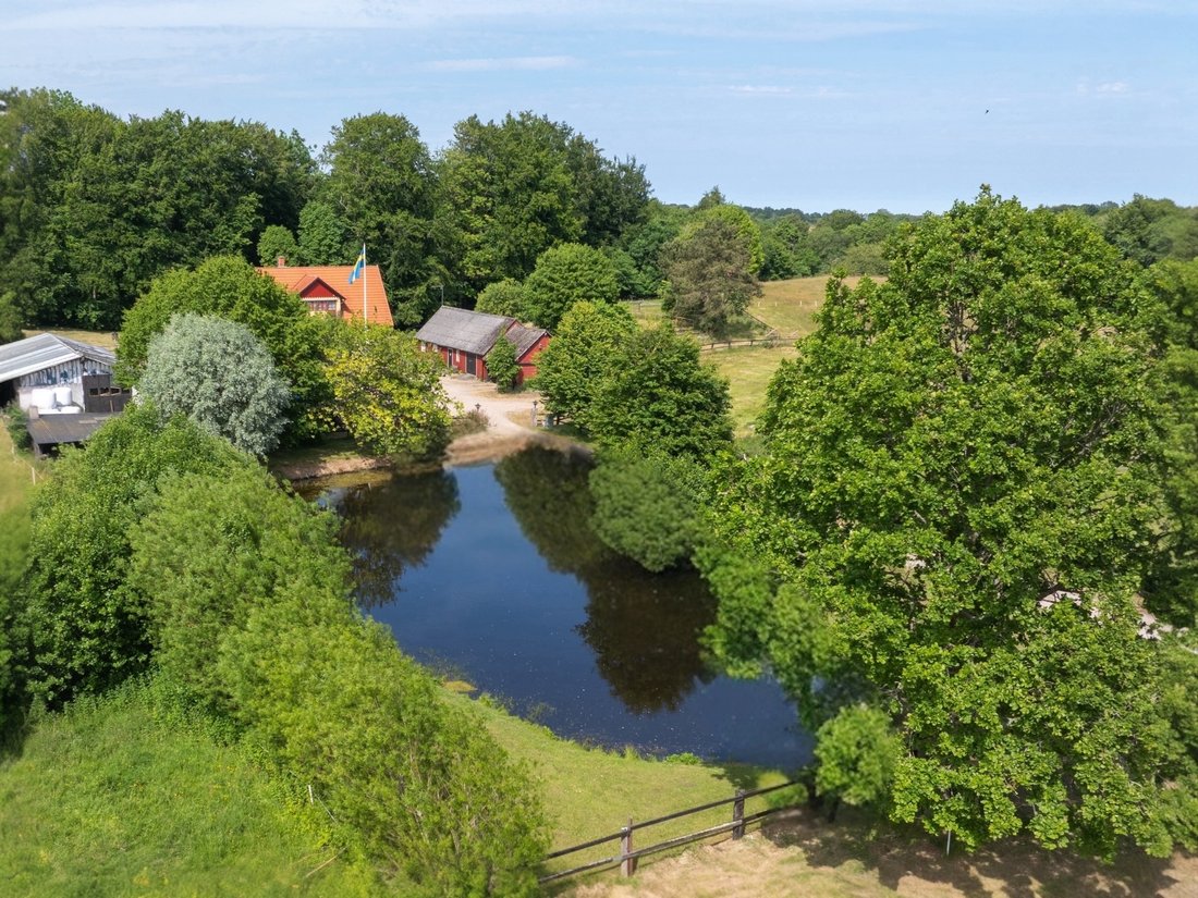 Farm Ranch in Degeberga, Skåne County, Sweden 3 - 15958714