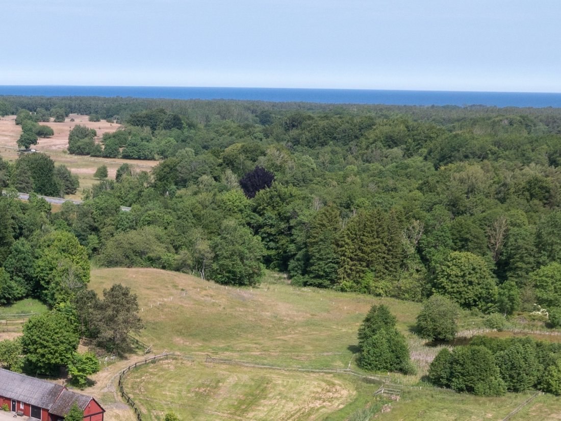 Farm Ranch in Degeberga, Skåne County, Sweden 2 - 15958714