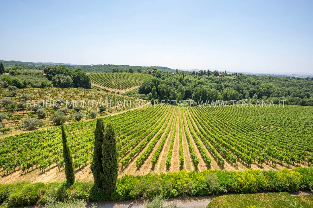 Estate in Gaiole in Chianti, Tuscany, Italy 2 - 15958881