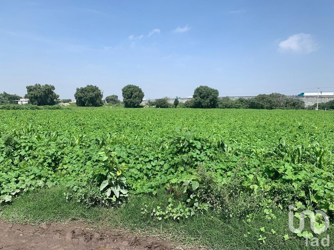 Land in La Rinconada, State of Mexico, Mexico 4 - 15960735