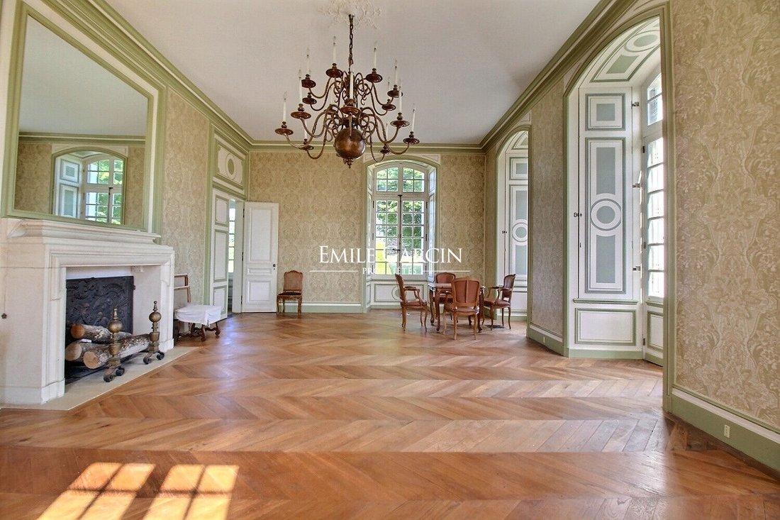 Chateau in Sainte Colombe-Monnerie, La Flèche, France 4 - 15959012