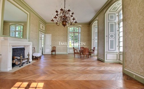 Castle for Sale in La Flèche, Pays de la Loire, France